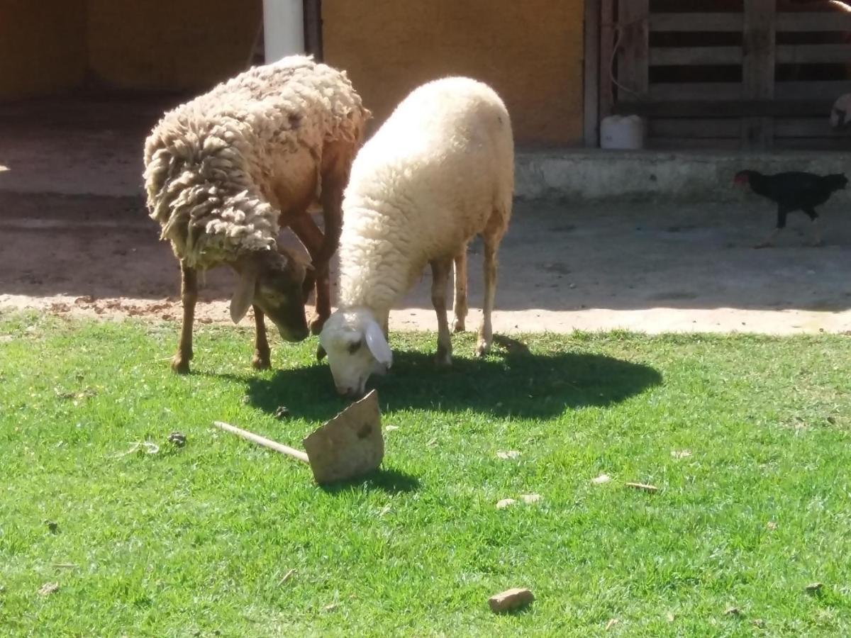 Molise Hotel Fazenda Серра-Негра Екстер'єр фото